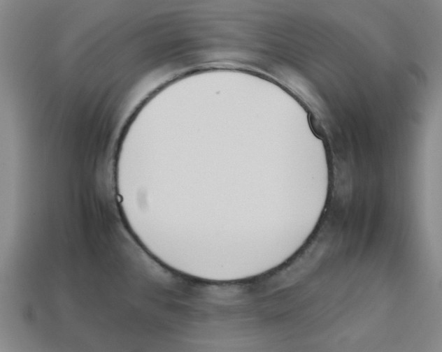 X0000112791384200910021050