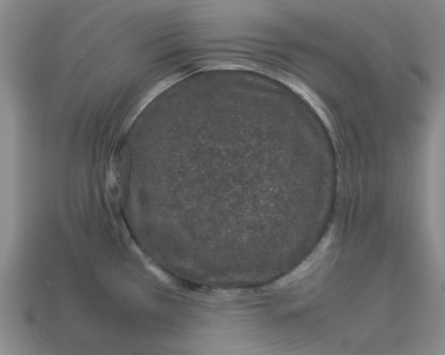 X0000112791385200910021050