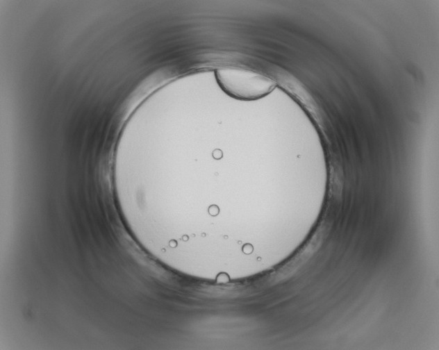 X0000112791386200910021050