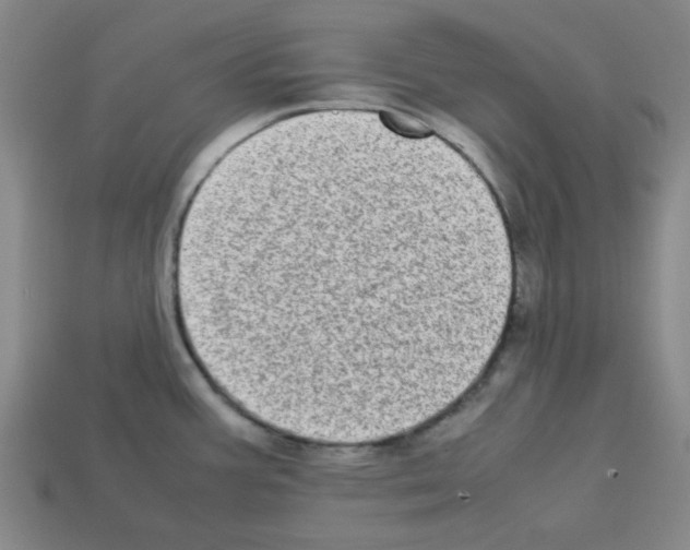 X0000112791387200910021050