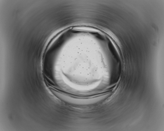 X0000112791388200910021050