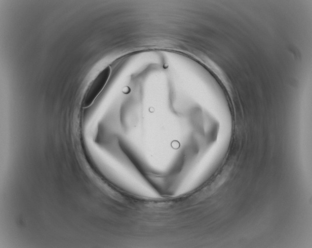 X0000112791389200910021050