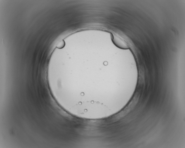 X0000112791390200910021050