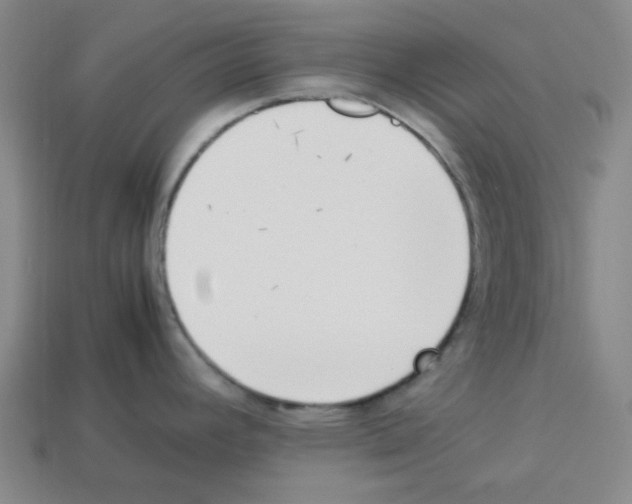 X0000112791392200910021050