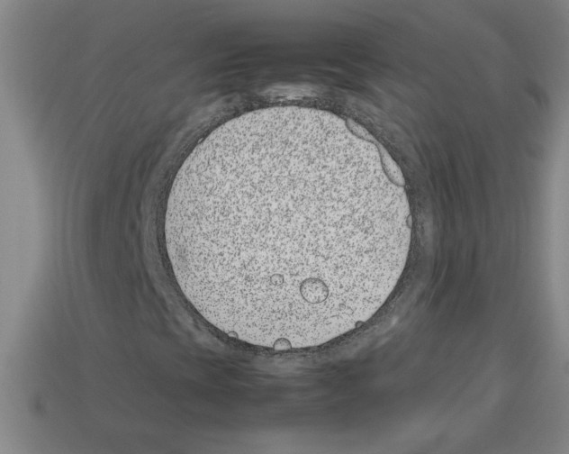 X0000112791393200910021049