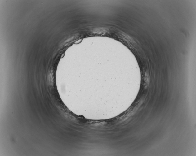 X0000112791394200910021049