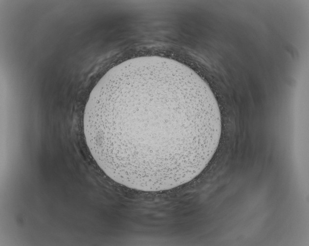 X0000112791397200910021049