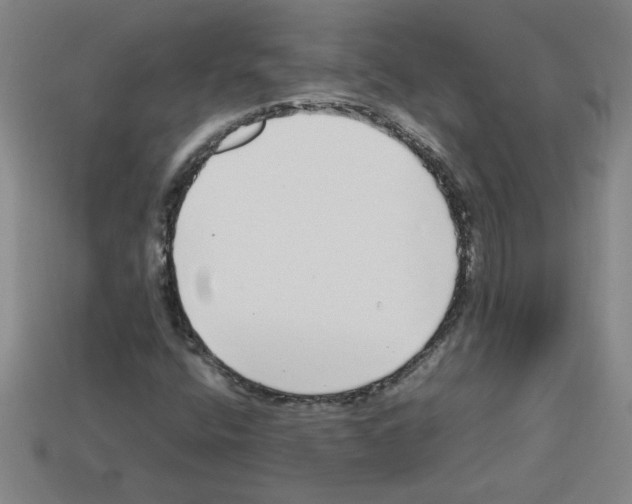 X0000112791400200910021049