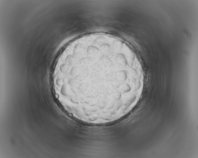 X0000112791404200910021049