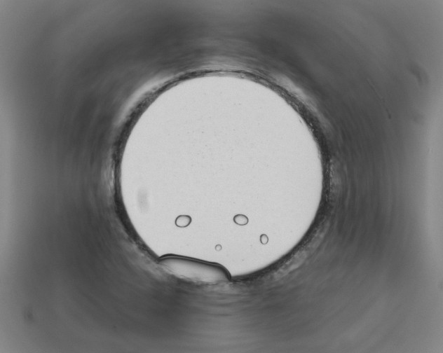 X0000112791408200910021049