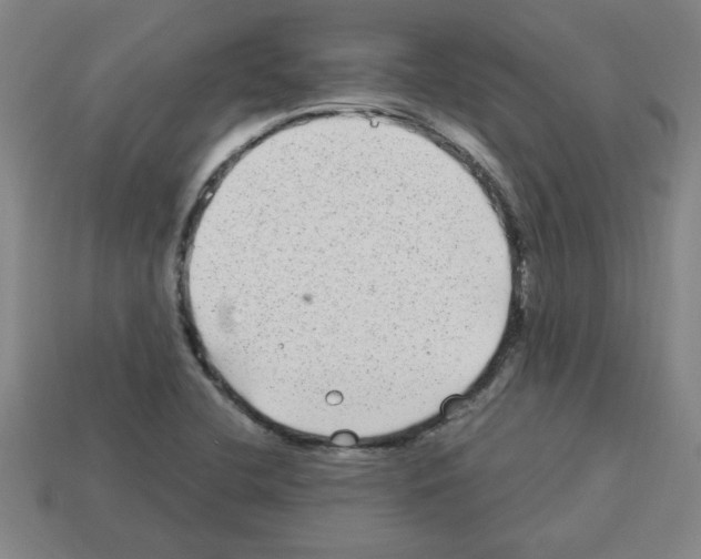 X0000112791412200910021049