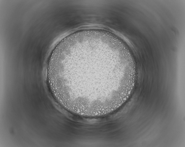 X0000112791413200910021049