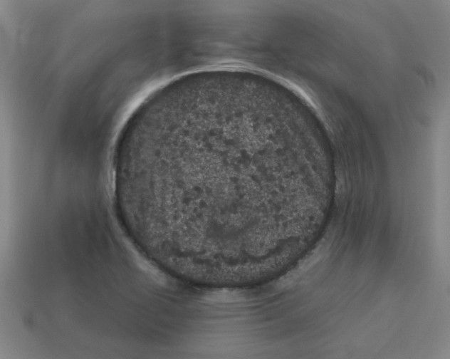 X0000112791414200910021049