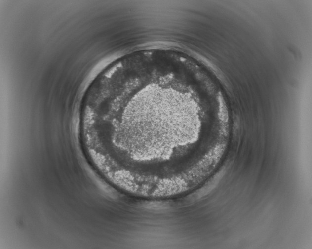 X0000112791418200910021049