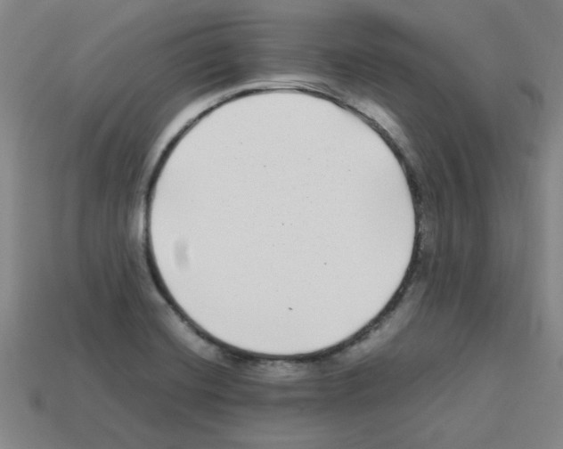 X0000112791420200910021049