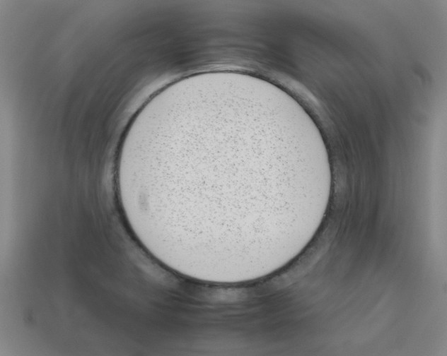 X0000112791423200910021049