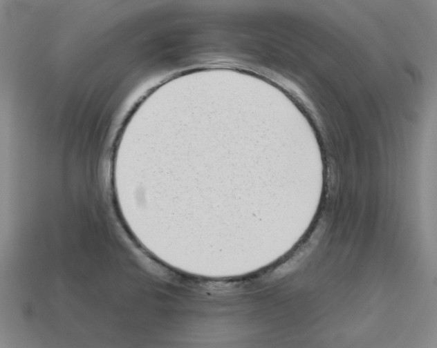 X0000112791424200910021049