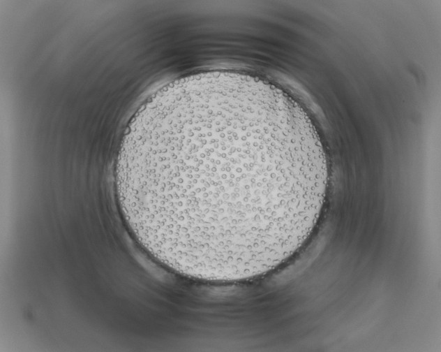 X0000112791425200910021050