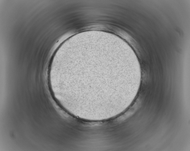 X0000112791426200910021050