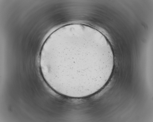 X0000112791428200910021050