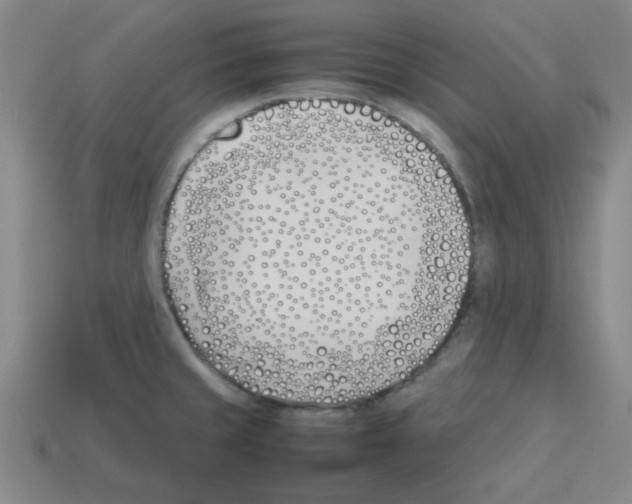 X0000112791429200910021050