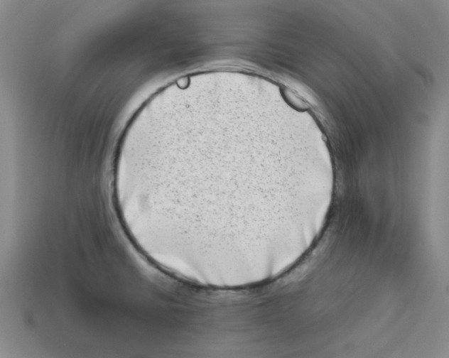 X0000112791430200910021050