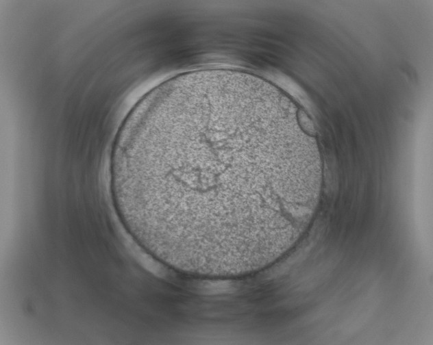 X0000112791431200910021050