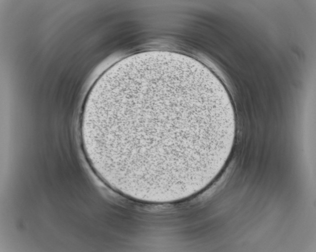 X0000112791434200910021050