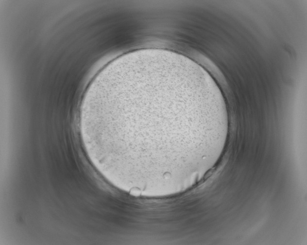 X0000112791436200910021050