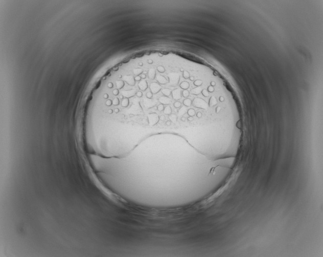 X0000112791437200910021050