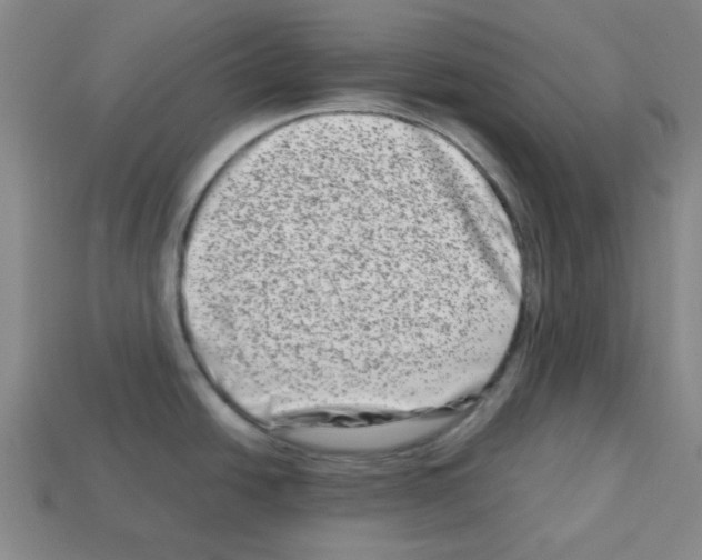 X0000112791438200910021050