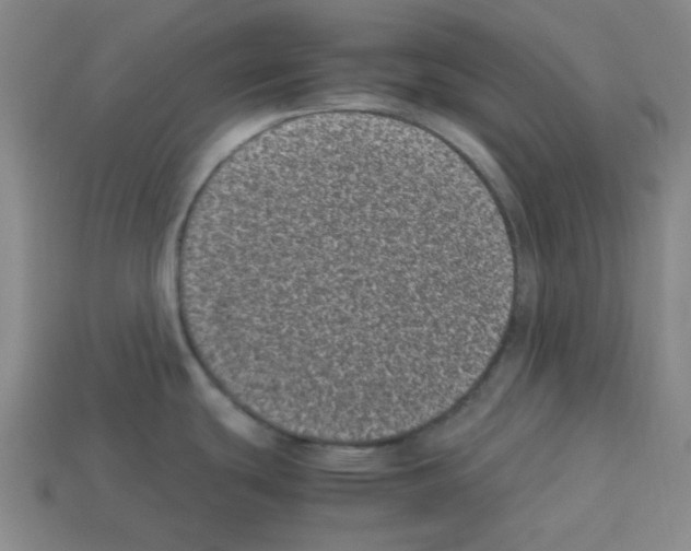 X0000112791439200910021050