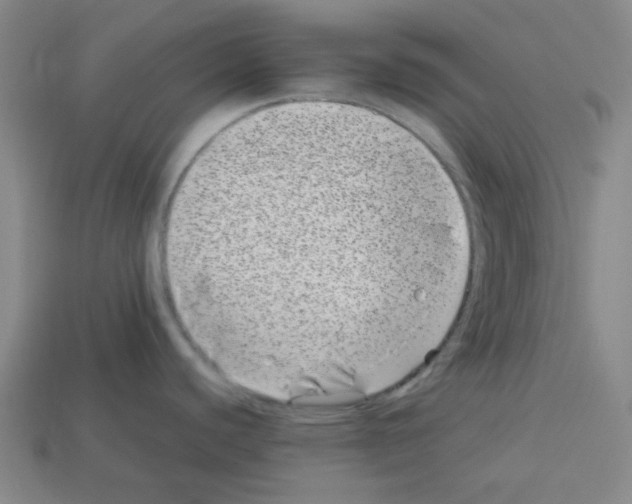 X0000112791440200910021050