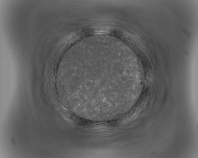 X0000112791441200910021049