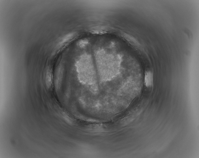 X0000112791444200910021049