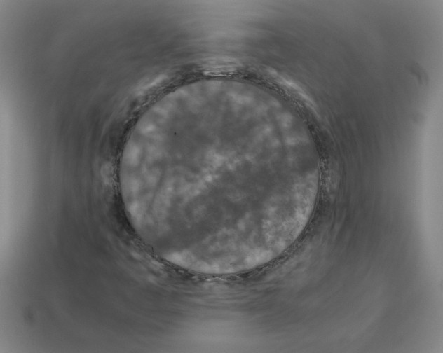 X0000112791445200910021049