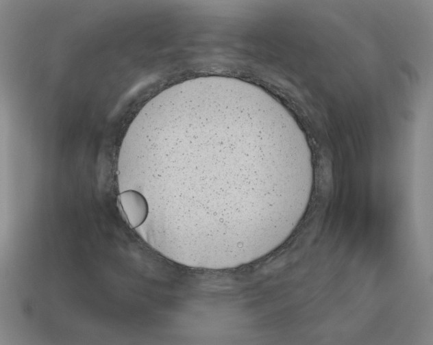 X0000112791446200910021049