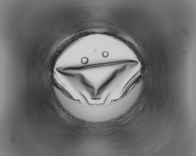 X0000112791448200910021049