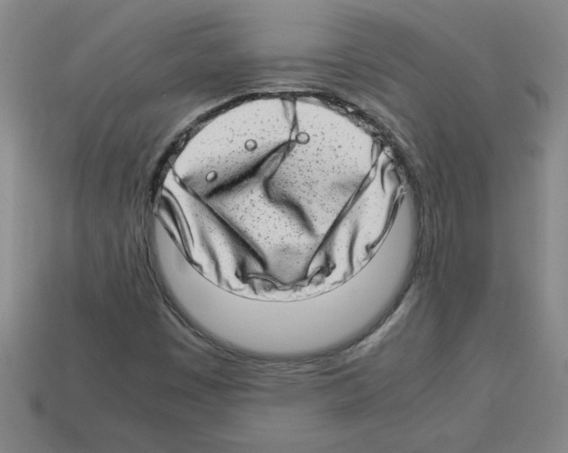 X0000112791449200910021049