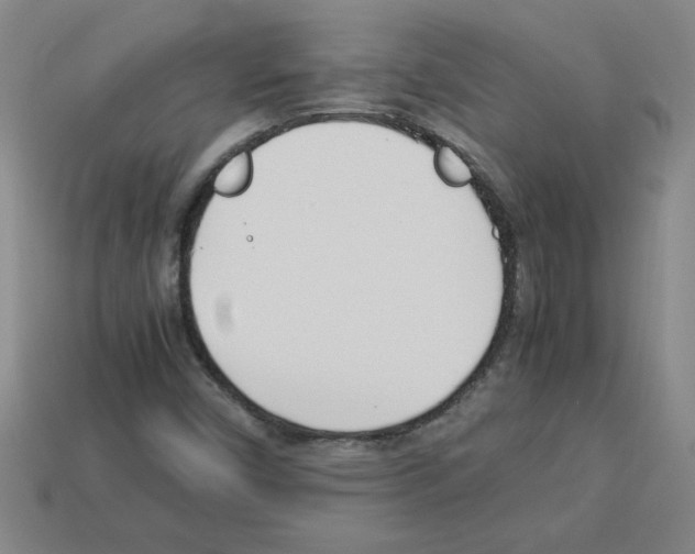 X0000112791450200910021049