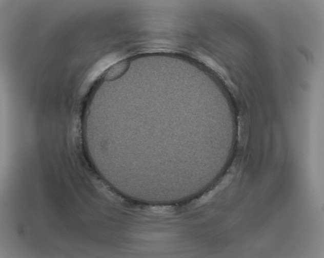 X0000112791453200910021049