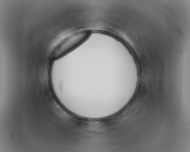 X0000112791456200910021049