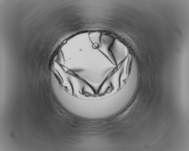 X0000112791457200910021049