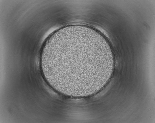 X0000112791458200910021049