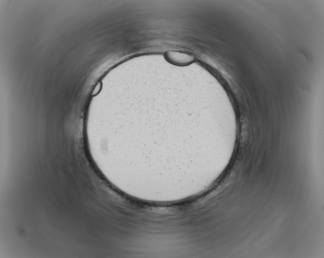 X0000112791459200910021049