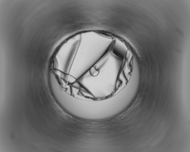 X0000112791460200910021049