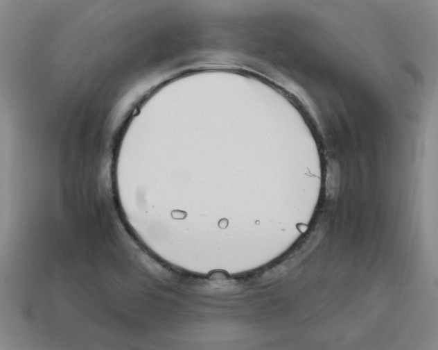 X0000112791464200910021049