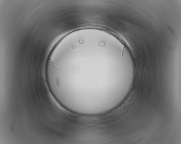 X0000112791468200910021049