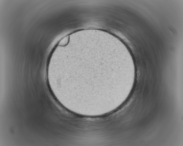 X0000112791469200910021049