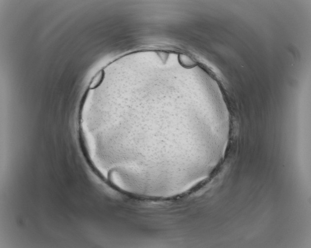 X0000112791471200910021049